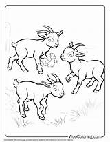 100  Goat coloring Pages Free PDF To Print Woo Coloring sketch template