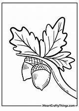 Acorn Coloring Pages 15 Free PDF Printables To Download sketch template