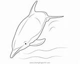 Dolphin Swimming Coloring Page For Kids  Free Dolphins Printable sketch template
