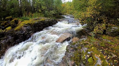 Sound of a strong river flowing in the green forest