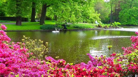 Garden Beautiful Floral Roses Plants Nature Green Flowers - Beautiful Lake Garden (#2014608 ...