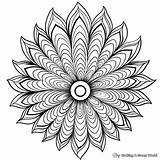 Peacock Feather Coloring Pages  Free & Printable sketch template