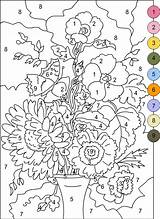 Free Printable Color By Number Coloring Pages  Best Coloring For sketch template