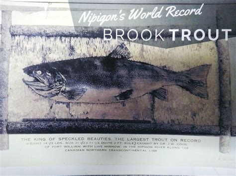 Why are Northern Ontario Brook Trout So Big? | Superior Country