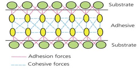 Adhesion - Assignment Point