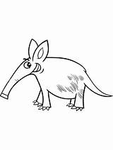 Aardvark coloring Pages sketch template