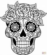 Halloween Skull Coloring Pages Sketch Page sketch template