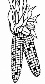 Printable Corn Coloring Page sketch template