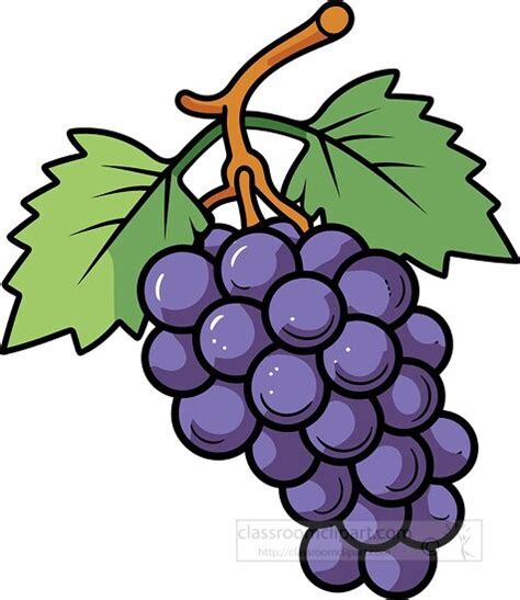 Fruit Clipart-purple grapes on stem clip art