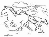 Running Horses Coloring Page  Download Print Or Color Online For Free sketch template