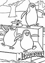 Collection Of Madagascar Coloring Pages  Free Printable sketch template