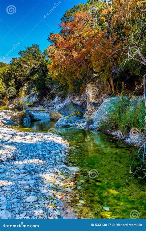 Fall Foliage on a Clear Rocky Creek with Maple Trees in Lost Maples Stock Image - Image of ...