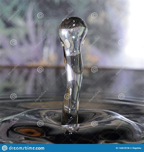 Macro shot of water drops. stock photo. Image of concepts - 143018736