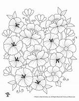 Flowers To Color And Print  Free Printable Flower Coloring Pages All sketch template