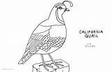 Free Line Art Printables sketch template