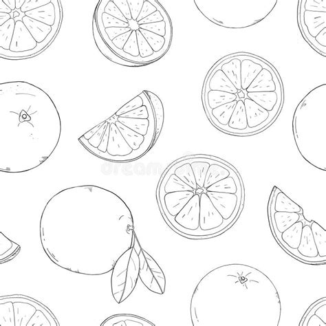 Seamless Pattern with Oranges. Drawing with Hands. Colorless Vector ...