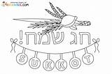 Sukkot Coloring Pages Feast Tabernacles Kids Printable Torah Drawing  sketch template