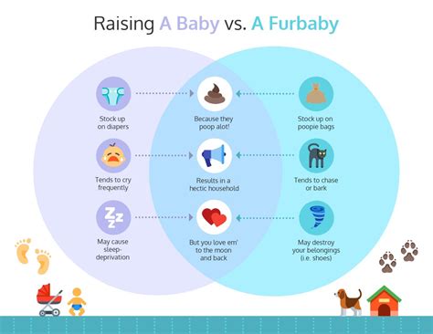 30+ Product Comparison Infographic Templates + Design Tips (2024)