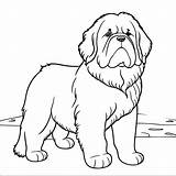 Newfoundland coloring Book For Kids Simple Line page  sketch template