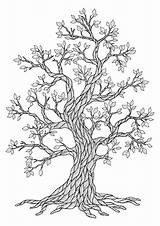 Premium Vector  Beautiful tree drawing coloring Page sketch template