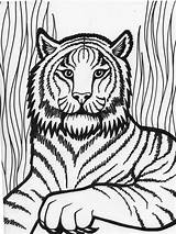 Free Printable Tiger Coloring Pages For Kids sketch template