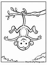 Cute Baby Monkeys Page Coloring Pages sketch template