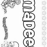 Maci coloring Pages  Hellokidscom sketch template