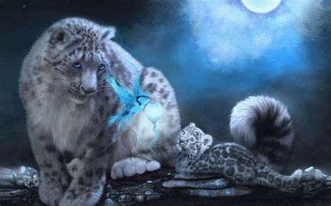 Snow Leopard HD Wallpapers - Wallpaper Cave