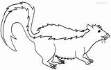 Skunk Coloring Pages Free Coloring sketch template