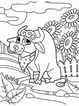 Cute Bull Coloring Page  Funny Pages sketch template