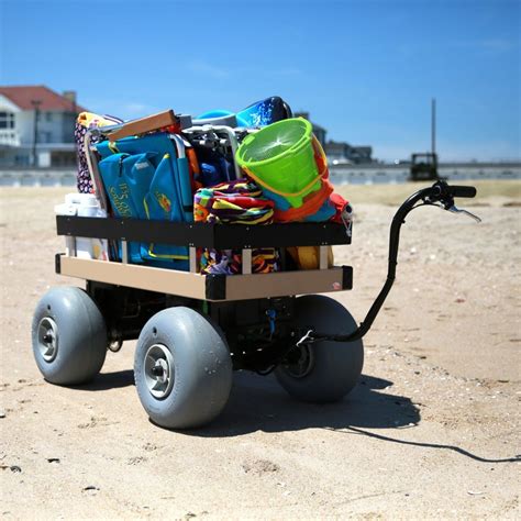 Pin on Beach cart
