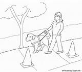 Guide Dog Coloring Page Pages sketch template