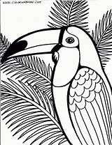 Free Printable Rainforest Coloring Pages  Home sketch template
