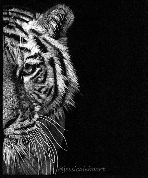 Black Paper Drawings | Black paper drawing, Black canvas art, Tiger drawing