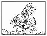 70  Desenhos De abelhas Para Colorir Crianças E Adultos PDFs sketch template