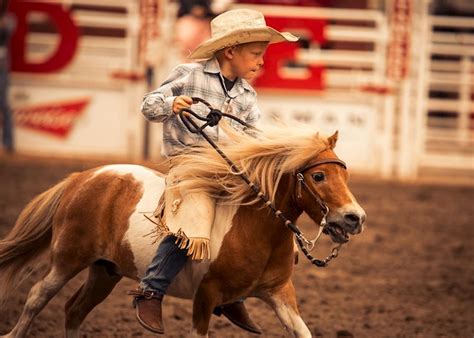 Calgary Stampede Rodeo, Canada | Audley Travel