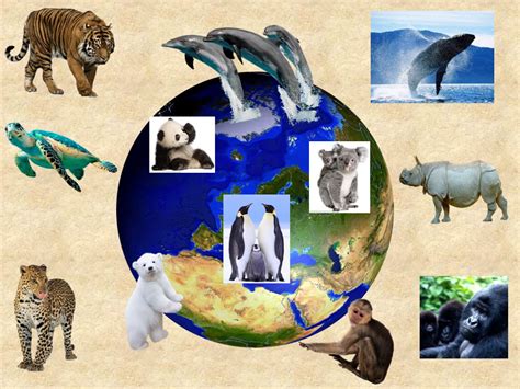 Top 188 + Ways to save animals from extinction - Lifewithvernonhoward.com