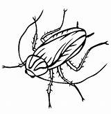 Free Printable Cockroach Coloring Pages For Kids sketch template