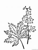 Larkspur Coloring Pages Flowers Nature Flower 5 Printable 2021  sketch template