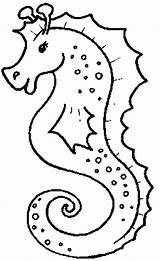 Seahorse coloring pages To Download And Print For Free sketch template