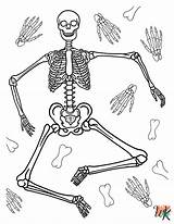 20 Skeleton Coloring Pages For Kids  ColoringPagesWKcom sketch template