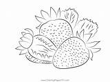 Strawberry Cut Group Coloring Page For Kids  Free Printable sketch template