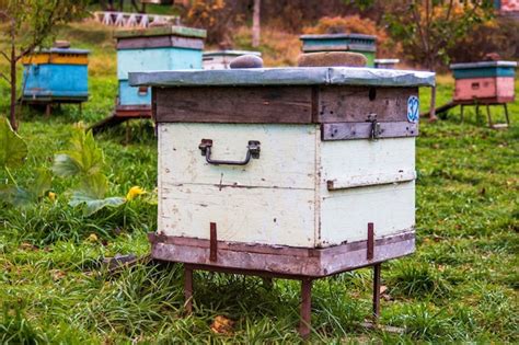 Premium Photo | Hives in the apiary. completion of the summer season of honey collection and ...