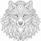 8000  Coloring Page Wolf Head Pictures sketch template