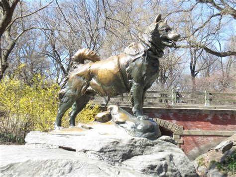 BALTO | This Week in New York