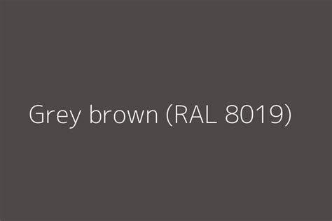 Grey brown (RAL 8019) Color HEX code