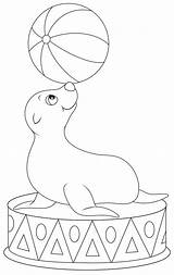Coloring Seal Pages Seals Sketch Page sketch template