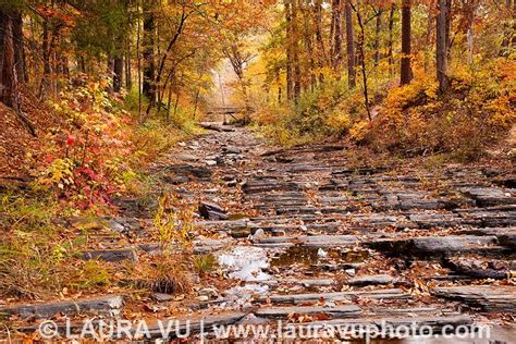 Fall foliage in Beavers Bend State Park in Broken Bow, Oklahoma | Beavers bend state park, State ...