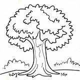 Truffula Tree Coloring Page 40032 32141 sketch template