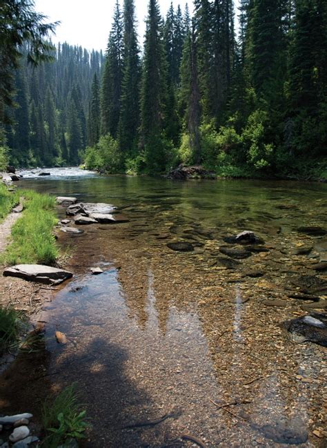 Ode to the St. Joe River - Big Sky Journal